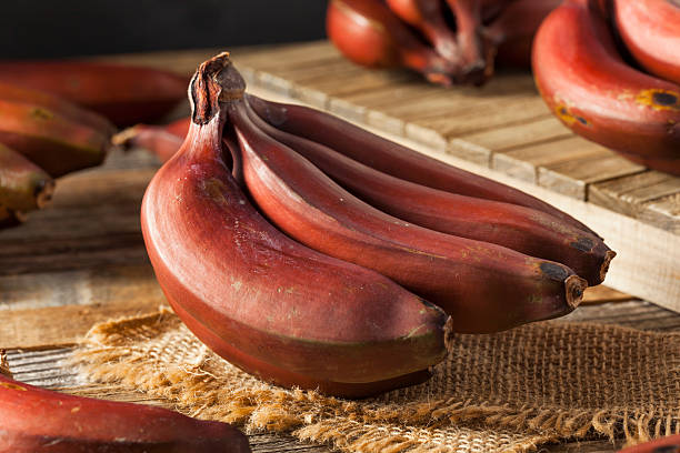 Banana suppliers in Ecuador